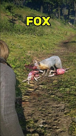Fox eating a rabbit in Red Dead Redemption 2 — insane realism