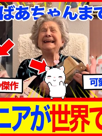 【海外の反応】日本のあのおもちゃが大流行！海外のおばあちゃんがシルバニアに大ハマりした結果#海外の反応 #世界の反応#外国の反応