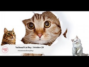 National Cat Day | October 29