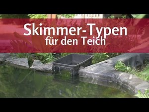 Skimmers for ponds: These are the types available