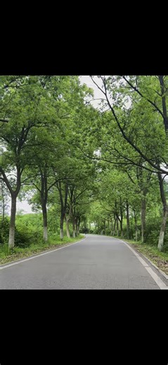【5月8日最新】雷神加速器0元白嫖指南！雷神加速器兑换码时长攻略，还在到处找免费时长的朋友们，看过来我已经把雷神的口令ddhy888，CDK都准备好了，快来…