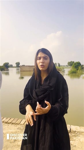 بہاولنگر میں سیلاب کی تباہ کاریاں۔۔کسان بے حال، فصلیں مکمل تباہ Flood devastation in Bahawalnagar — farmers distressed, crops completely destroyed 🌊🌾 | Discover Pakistan #flood #flood2025 #Bahawalnagar #DiscoverPakistan | Discover Pakistan
