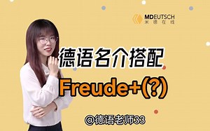 德语名介搭配 Freude+？
