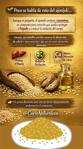 El Ajonjolí y sus Aportes al Cuerpo #ajonjoli #saludnatural #cuerpohumano