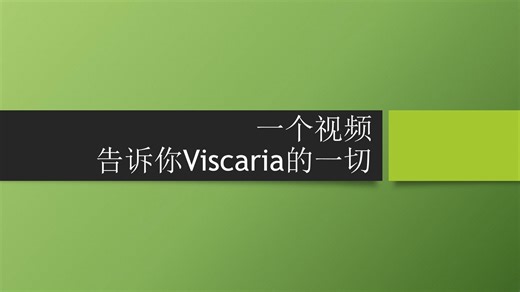 一个视频告诉你 vis 的一切