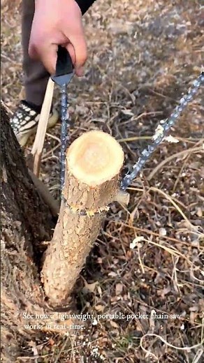 Cutting a Small Tree Trunk with a Hand Chain Saw