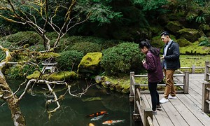 Portland Japanese Garden