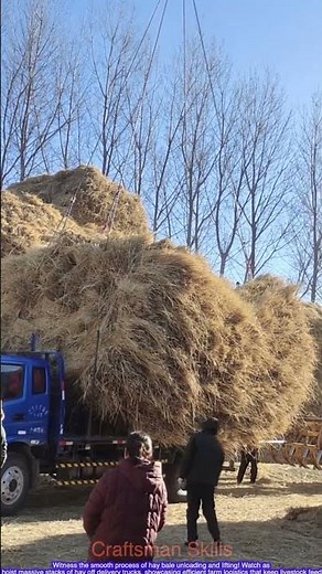 Hay Unloading & Lifting: Efficient Farm Logistics in Action