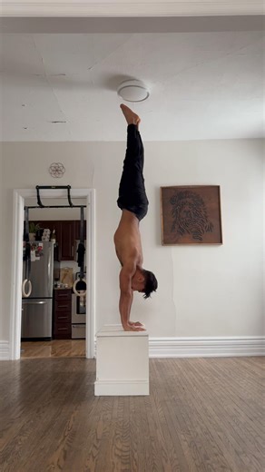 Deficit HSPU X 5 #bodyweight #calisthenics #movement #strength #strengthtraining #handstandpushup