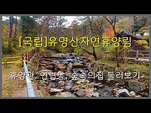 [국립]유명산자연휴양림 휴양관, 연립동, 숲속의집 둘러보기(경기 가평군 설악면)