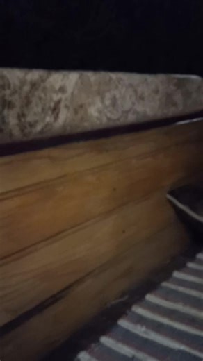 At Reading to be auctioned today, Lot 21 | Romany Heritage