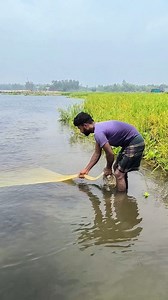 Village Fisherman Catch Fish | Fisher Village
