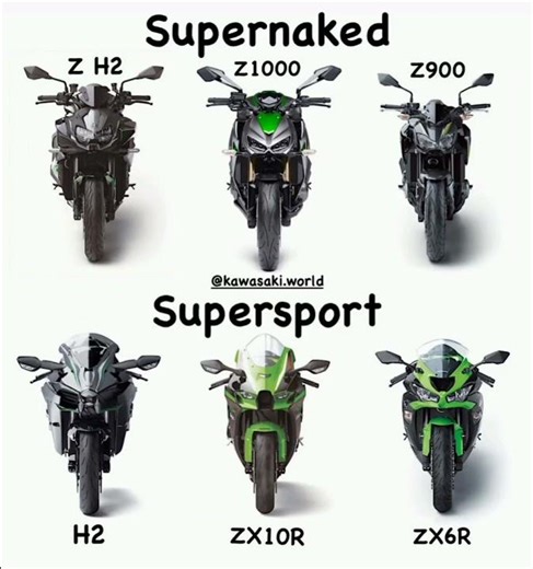Super Naked vs Super Sport #shorts #bike #kawasaki #ninja