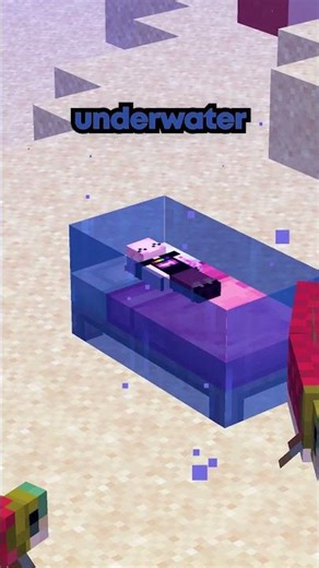 This player lived in one block tall tunnels on my Minecraft server #minecraft #server #smp