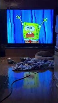 SpongeBob SquarePants-Wishing Well(Season 4 Episode 12)