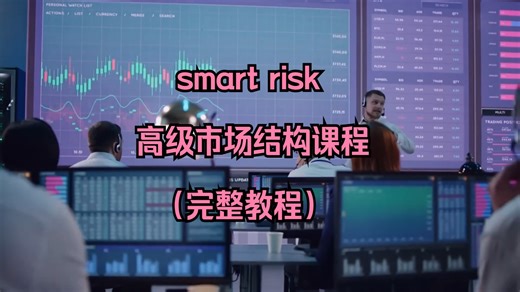 smart risk 高级市场结构课程（完整教程）74