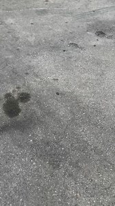 You have try really hard to fuck up a CFL build. They are just so easy to make perfect. | West Coast Choppers