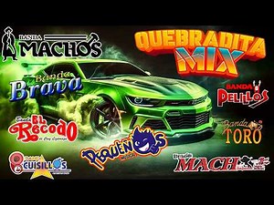 Tecno Bandas Quebraditas Exitos 🎬 Banda Machos, Banda Cuisillos, El Mexicano, Banda Maguey 💃💃💃