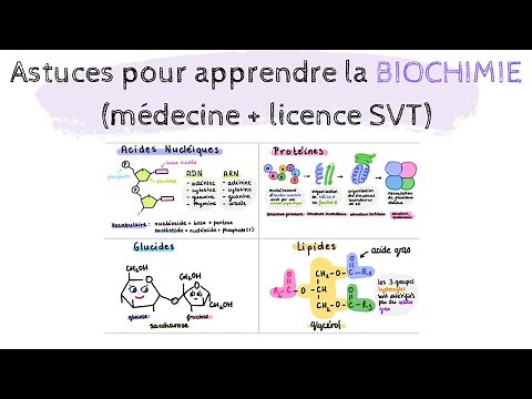COMMENT APPRENDRE LA BIOCHIMIE ❤ | MÉDECINE, LICENCE BIOLOGIE, BTS DIÉTÉTIQUE | Biochimie Facile
