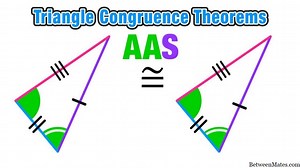 AAS y AS - CIENCIA 2025