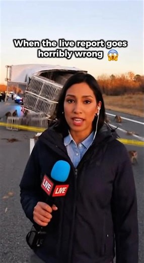 LIVE: Reporter attacked by escaped lab monkeys (Mississippi incident, AI version)