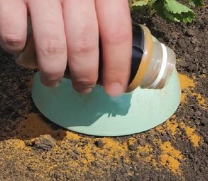 46M views · 6K reactions | Easy ways to protect your garden from pests! | 5-Minute Crafts | Facebook