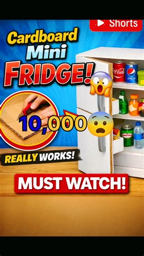 ₹10,000 ka FRIDGE 😳 Maine ₹20 ke Cardboard se Bana Diya! | Mini Fridge DIY