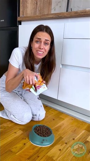 The cat knows how to control its owner 😎