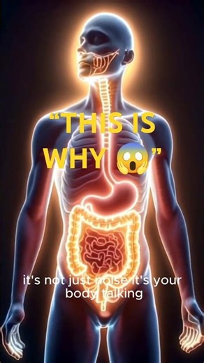 Why Your Stomach Makes Noise (It’s Not Just Hunger)healthfacts #didyouknow #digestivehealth