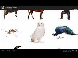 Animal Sounds Free Android App