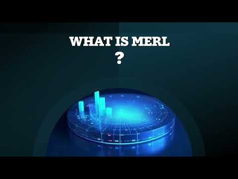 What is MERL? | Monitoring Evaluation Reporting Learning for Beginner #monitoringandevaluation