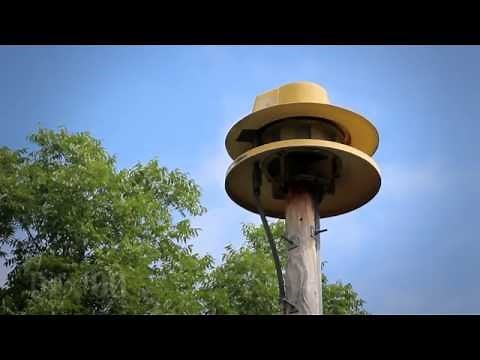 ACA Banshee 115, Alert: Eldorado, IL (Saline Co. Tornado Siren Test, HD)