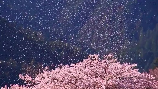 The most beautiful scenery in the world #scenery #beautiful #fyp