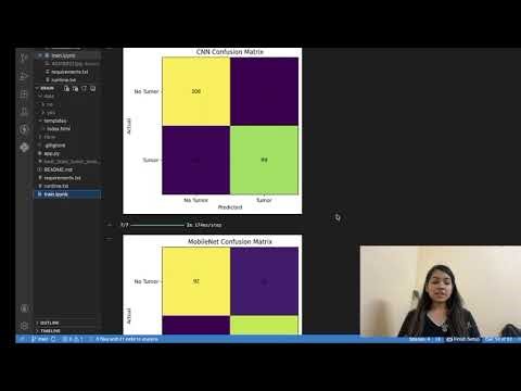 Brain Tumour Detection using Machine Learning Explanation