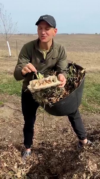 I can’t say enough good things about compost. Let’s talk about why I love it so much! | Wyse Guide