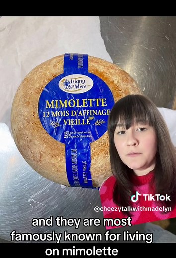 Exploring Cheese Mites: Harmless Creatures in Your Cheese?