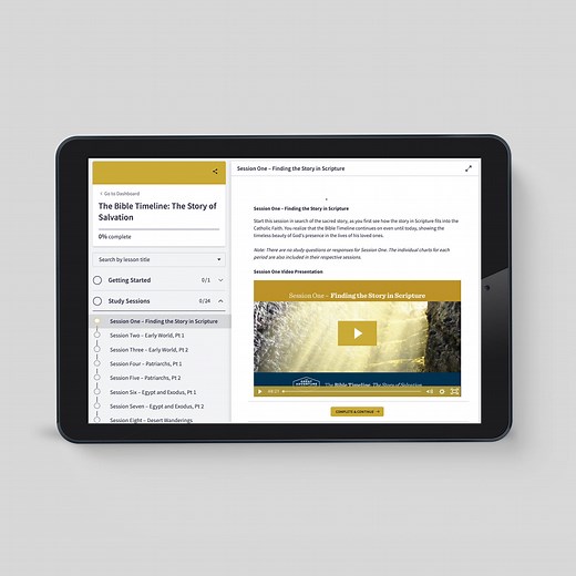 The Bible Timeline: The Story of Salvation [Online Video Access]