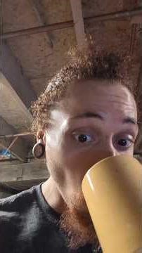 Update on Fish Dungeon & Reptile Room #update #reptiles #tarantula #fishroom #reptileroom