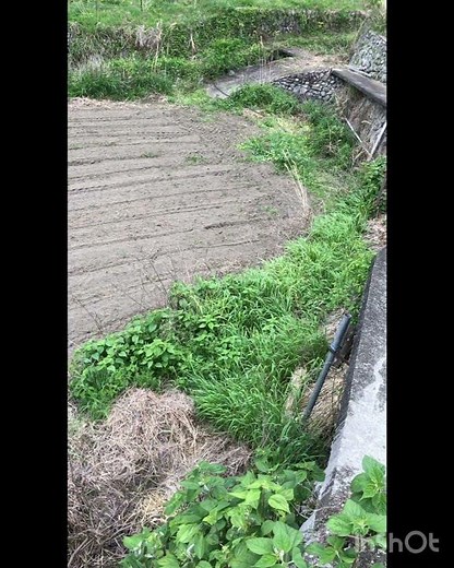 畝立てbefore after 管理機で畝立て。大豆を巻く前に畝立て実施✨