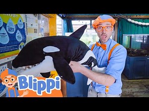 Blippi Learns About Sea Creatures - Meet the Ocean Friends | Kids Cartoons | Moonbug Kids