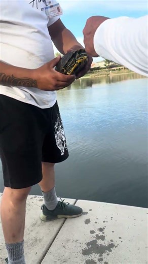 Bad bad turtle we we able to take the hook out