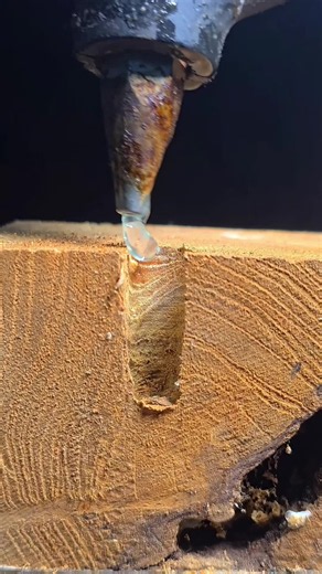 Precision Woodworking: Advanced Furniture Builds & Workshop Mastery
