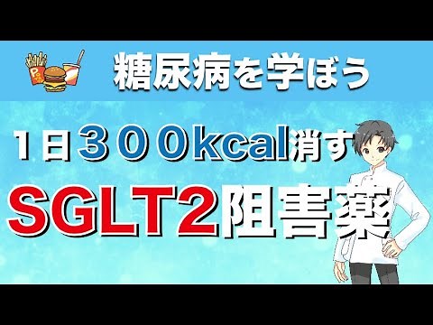 【1日300kcal減】SGLT2阻害薬という糖尿病治療薬の作用や特徴【薬剤師が解説】