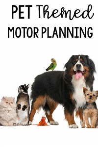 Pet Gross Motor Planning Ideas