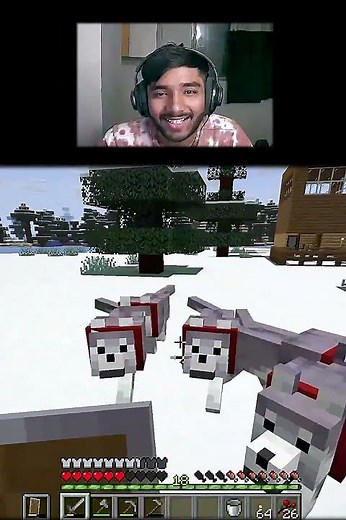 Minecraft Wolf Army Ready 🐺 1,2,3,4,5… Attack! 😂
