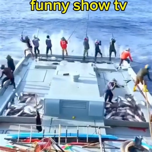 Raining fish everywhere | Funny show tv