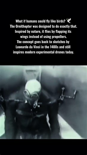 A flying machine that mimics birds 🕊️✈️ #aviation #technology #history #shorts