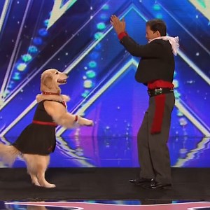 This Dog Dances Better Than Her Owner! | Got Talent Global