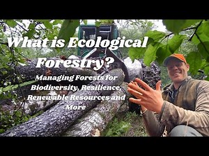 What is Ecological Forestry?