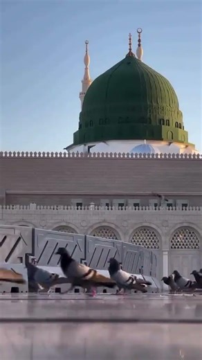 ہم نے مانا کی جنتوں بہت تو ہے حسین #madina #makkah